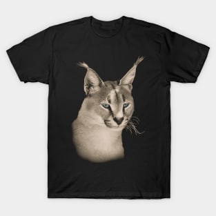 Caracal Wild Cat for Cat Lovers T-Shirt